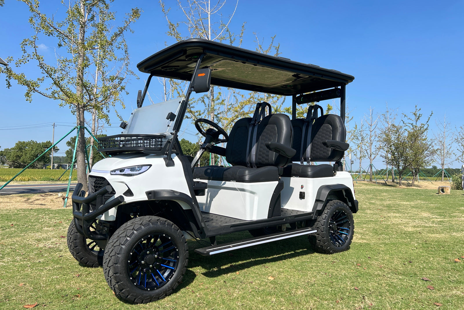 JSH0703 four-seat forward-facing buggy in rear view